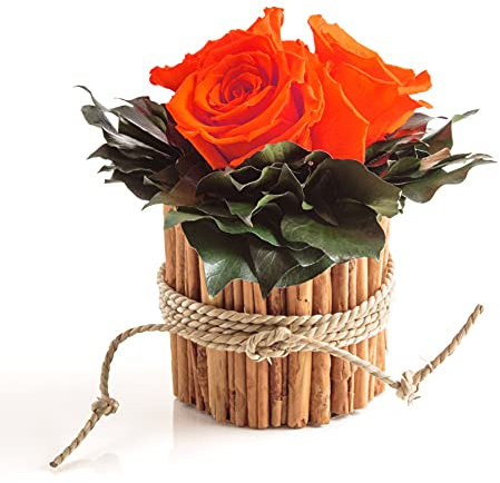 ROSEMARIE SCHULZ Heidelberg Rosenbox rund 3 echte Infinity Rosen Orange in Vase aus Zimtstangen Lange haltbar 3 Jahre (Orange, 3 Rosen)