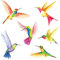 BASHOM DS2-4002 Kolibri Wandtattoo Vögel Wandaufkleber Kolibriwandaufkleber für Schlafzimmer Wohnzimmer Kinderzimmer Flur Küche Fenster Deko Wanddeko