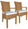 Esszimmer Stühle Set mit Armlehnen 2 Stück Rattanstuhl Perth Capuccino Korbstuhl Sessel nachhaltig Farbe mit Sitzkissen