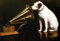 mrdeco Metall Schild 30x40cm gewölbt His Master´s Voice Hund Retro Blechschild