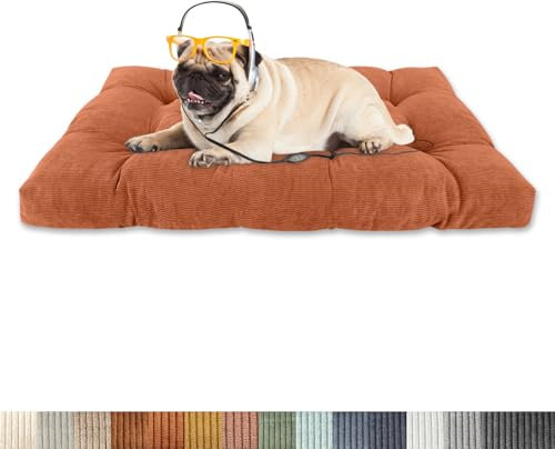 Lsjoaw Orthopädisches Hundebett 80x50x15cm Cordstoff Dog Bed Kleine Hundesofa Plüsch Hundekissen Grosse Hunde Hundecouch rutschfest Unterseite Mittelgroße Hundekörbchen Orange