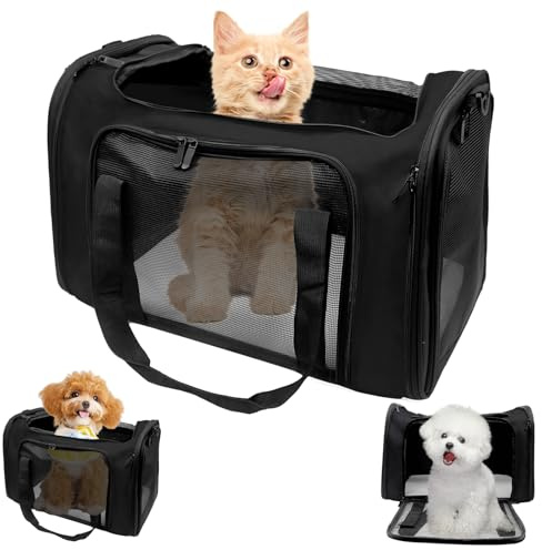 Transporttasche für Katze Hund 51x33x33cm Hundetransportbox, Faltbare Katzentransportbox Tragbar Bis 7,5kg Katzen Hunde Autoreise Tragebox für Katze Welpen Kleine Mittelgroße Hund