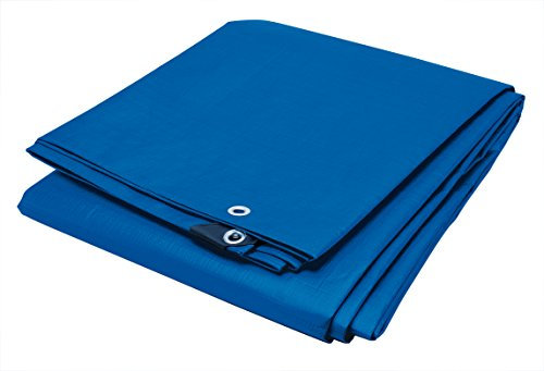 Performance Tool W6009 Bâche imperméable Bleue en polyéthylène Standard pour auvent, Tente, Bateau, véhicule de Plaisance ou Piscine, 3 x 6,1 m