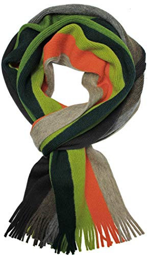 Rotfuchs Strickschal Herrenschal Damenschal Unisex reine Wolle gestreift feinstrick mit Fransen mehrfarbig (mehrfarbig /28 x 190 cm)