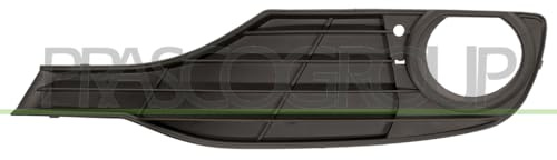 GRIGLIA PARAURTI ANTERIORE SINISTRO CON FENDINEBBIA BMW SERIE 3 F30 31 06 11>MODERN LUXURY