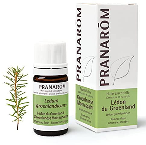 Pranarôm | Huile Essentielle Lédon du Groenland | Thé du Labrador | Ledum groenlandicum | Rameau fleuri | 5 ml