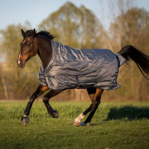BUSSE Outdoordecke RAIN-DEAR 200