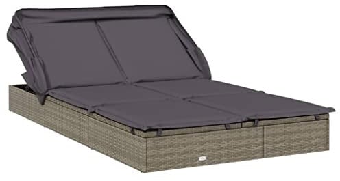 vidaXL Transat 2 Places avec Toit Pliable Gris 213x118x97 cm, Chaise Longue, Chaise Longue d'extérieur, lit de Salon, lit de Repos