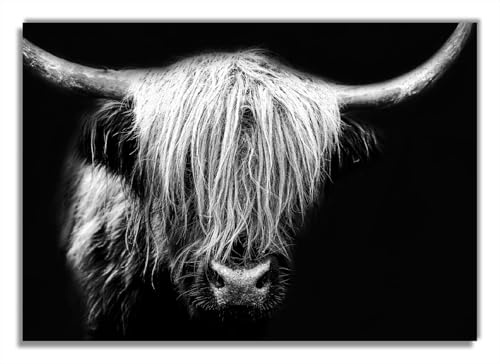 Wallario Glasbild Highlander in schwarz-weiß - 70 x 100 cm Wandbilder Glas in Premium-Qualität: Brillante Farben, freischwebende Optik