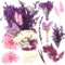 iDattel Fleurs séchées Naturelles - Mélange Naturel - Fleurs séchées - Kit de Fleurs séchées - pour travaux manuels - Résine - Scrapbooking - Fabrication de Cartes (Blanc/Violet)