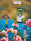 Pommerntraum ® | Zaunhocker Pfostenhocker Zaunfigur Dekorationsfigur Gartendekoration Frosch Frösche maritimer Matrosenfrosch (Frosch Lieblingsplatz)