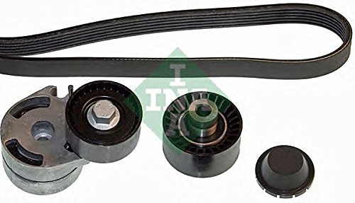 INA 529 0012 10 V-RIBBED BELT SET