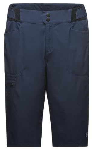 GORE WEAR Men's Cycling Shorts Passion, Orbit Blue, L