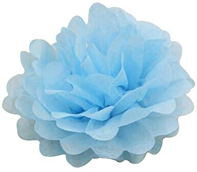 Duories 24 Stück Seidenpapier Pompons 25cm Hochzeitsdeko Basteln Pompoms Dekorpapier Blumenpuscheln Papier Pompons Papierblumen für Geburtstag Hochzeit Party Wohnzimmer Raumdeko,Hellblau