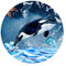 Zyadsinoudor 50 Stück Delphin Seestern Laptop Aufkleber Ozean Meer Aufkleber Pack Ocean Life Langlebig Mediterraner Stil Runder Aufkleber für Fahrrad Stoßstange Koffer Gepäck Auto Laptop Stoßstange