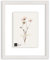 Bildershop-24 Double vitrage - double vitrage Cadre double vitrage Cadre photo Paris Magnolia avec verre acrylique 15x21 cm DIN A5 tailles sélectionnables