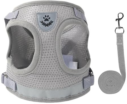 WXQZHF Flexi Leine haustierleine für kleine und mittelgroße Hunde mit reflektierender rücken- hundeleine Katzen-grau-XL