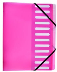 Ordnungsmappe / Dokumentenmappe / für DIN A4 / mit 12 Taben / Farbe: pink
