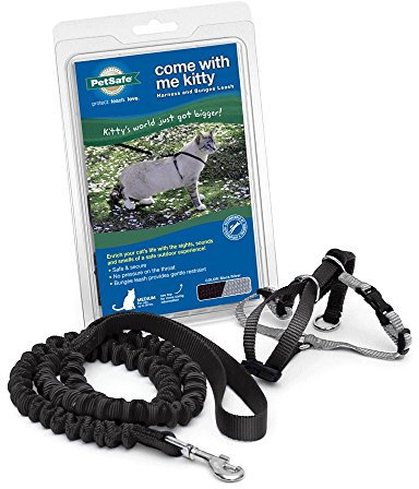 PetSafe Come with Me Kitty Geschirr und Bungee-Leine, Geschirr für Katzen, Größe S, Schwarz/Silber