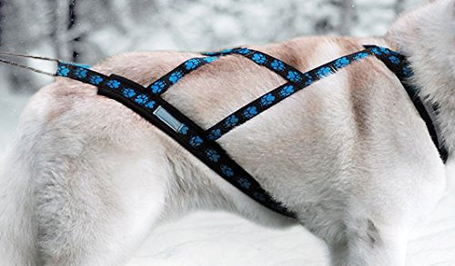 X-Back Zuggeschirr Fuer Bike-, Skijoring, Dogscooting, Schlitten, Blaue Pfoten (XS)