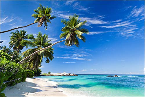 Muralo Fototapete Strand 180 x 270 cm Vlies Tapete Wandtapete Ozean Himmel Palmen Wohnzimmer Schlafzimmer moderne Wandbilder XXL Natur Panorama Wasser Wand Dekoration