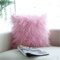 Hava Kolari Plüsch Kissenbezug Süß Sofakissen Deko Autokissen Superweich Plüsch Fellkissen, 45 * 45cm (Pink)
