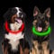Leuchthalsband Hund LED, Aicharynic 2 Stück LED Hunde Halsbänder USB Wiederaufladbare Wasserdicht LED Hundehalsband 3 Blinkende Lichter Längenverstellbarer Sicherheit Halsband Hunde