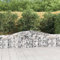LAPOOH Gabionen mit Hochbogen 9 STK Gabionenkörbe, Gabionen Hochbeet, Steinkorb, Gabionengitter, Drahtkorb Für Pflanzen, Kräuterspirale Für Garten, 400x30x60/80 cm Verzinktes Eisen