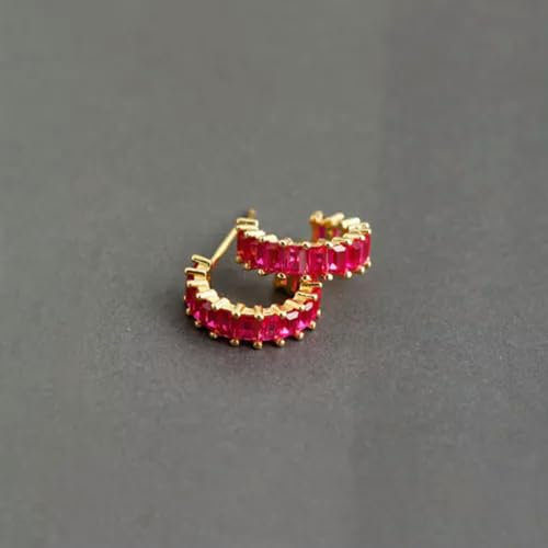 Orecchini a Bottone con zirconi cubici ghiacciati, cerchietti Quadrati in Argento 925 F1093-L - Oro con Pietra Fucsia
