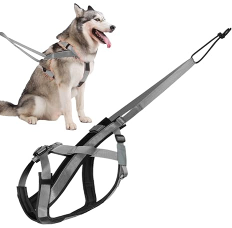 Dopsyesn Arnés De Tiro para Perros,Arnés Reflectante para Running Canino - Correa Ajustable Y Cómoda para Entrenamiento De Trineo Paseos Y Ejercicio Al Aire Libre