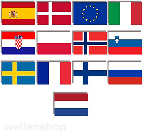 wellenshop Flagge Europa 30 x 45 cm