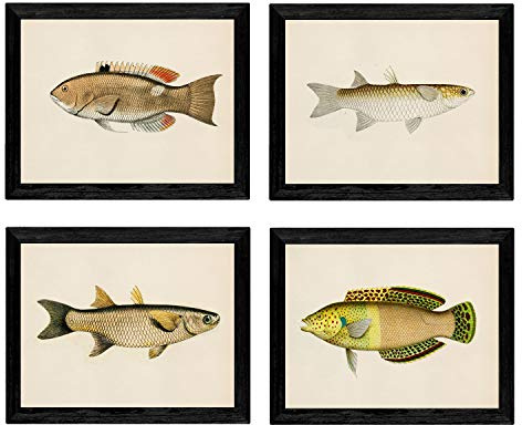 Set von 4 Platten mit Vintage-Effekt bunte Fische beige gelb. Ampana. 4 verschiedene Fisch Zusammensetzung im A4-Format, Jahrgang Hintergrund Altpapier Poster Papier 250 gr hohe Qualität. Frameless