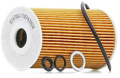 RIDEX PLUS Ölfilter Motorölfilter Filtereinsatz mit Dichtringen 7O0092P