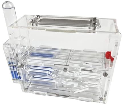 Ameisenfarm Formicarium Ameisenburg Acryl Ameisenfarm Wissenschaftliche Beobachtung DIY Ameisennest Farm Ameisenwerkstatt Ameisenfarm für Draußen(Transparent)