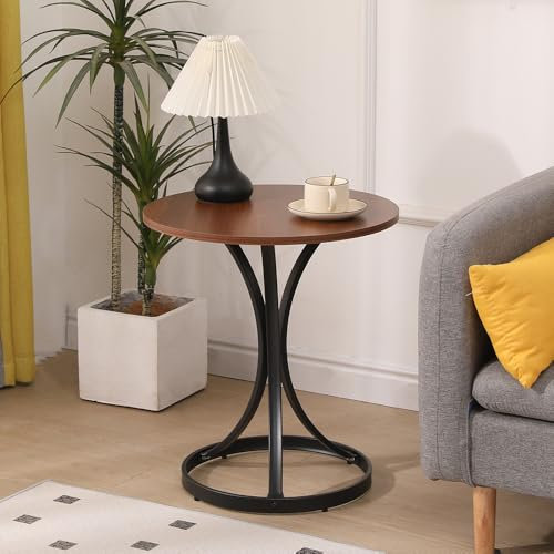 Rainbow Tree Modern 50cm Round Coffee Table with Pedestal Base, Wooden Sofa Side Tea End Tables for Living Room, Center Tables for Living Room (Brown)