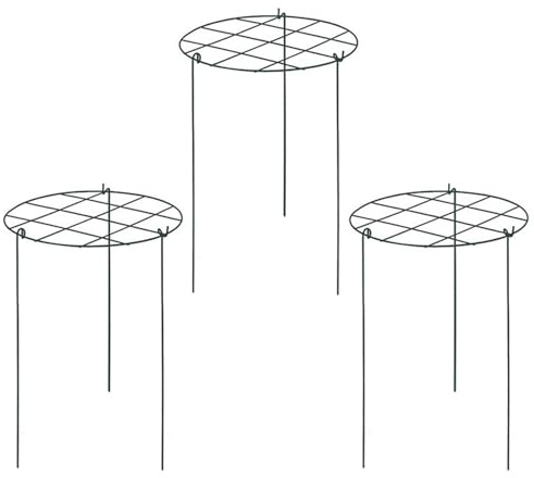 Uanqfegy Pfingstrosenkäfige und -stützen, 3 Stück Eisen-Wachstumsstützen mit 3 Beinen, für Rosen, Tomaten, Orchideen, Weinreben/14x18