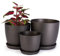 Home Garden Ornaments Vaso per Piante da Interno Grafite Set di 3 Misure 14/16/18 cm - Opaco Vaso da Esterno con Sottovaso Senza Fori di Drenaggio - Vasi per Piante da Esterno (Grafite)