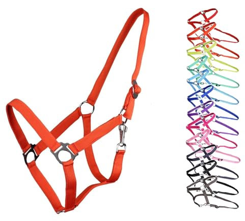 NETPROSHOP Halfter ODER Führstrick Einfarbig für Ihre Lieblinge Mini Shetty bis XL Full, Groesse:Shetty, Farbe:Orange