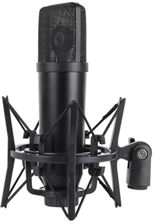 PEPWE Kondensatormikrofone in Studioqualität für Sprachübertragungen und Live-Heimstudio-Geräte