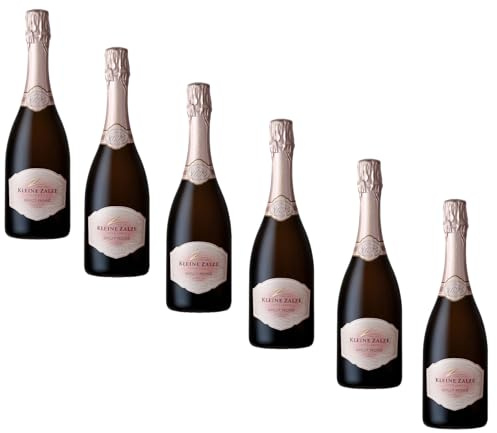 Kleine Zalze Méthode Cap Classique (MCC) Brut Rosé 2021-6er Karton (6 x 0,75l) - 100% Spätburgunder Sekt aus Südafrika - Flaschenreife - Frisch & Fruchtig (Brut Rosé)