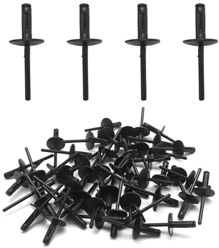 Ollanoos 51717002953 Lot de 50 rivets aveugles de rechange pour BMW X3 X5 X6