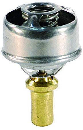 FAE 5202887 Termostato, Refrigerante