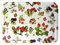 Lashuma Sandwichtablett XXL, Käsetablett Rechteckig, Druck: Waldbeeren, Buntes Melamintablett, Format: 50x37 cm