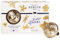 MAISON BERGER Diffuseur Voiture Lolita Lempicka Or Satiné