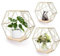 Hexagon Wandregal Ablage aus Holz Metall, 3 Größen Hängeregal Schweberegal Gitterregal Wanddeko Dekorative Regale für Wohnzimmer Schlafzimmer Küche (Gold 3)