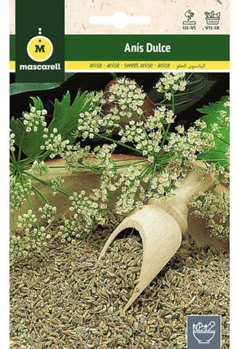 Mascarell Semillas, ANÍS DULCE, Semillas de Hierbas Aromáticas para Plantar, Crea tu Propio Huerto en Casa, 6 Gramos