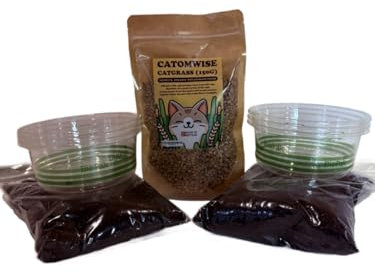 Cat Grass Kit x 6 | Nutrient packed Organic Cat Grass Kit with environmentally friendly PLA bowls | Up to a years worth of seeds |Great For Indoor Cats - Good for outdoor cats too. (Oat)