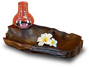 Kinaree Wurzelholz Windlicht mit Schale - Dekoschale mit Windlicht - 2 Größen - Schmuckteller mit Teelicht (Braun - Klein)