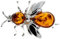 M801 Broche en ambre de la Baltique véritable et argent sterling Motif abeille - M801, Argent sterling, Ambre
