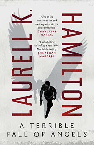 A Terrible Fall of Angels (English Edition)